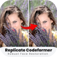 Codyformer Professional Version 1.9