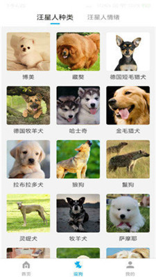 动物语言翻译器