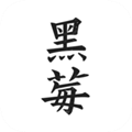 黑莓小说 1.3.7