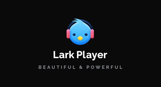 Lark Player最新版(百灵鸟播放器) Lark Player最新版(百灵鸟播放器)