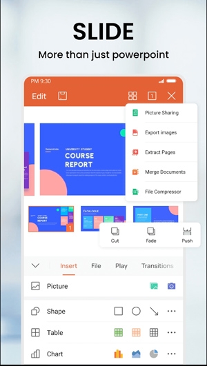 WPS Office精简版最新版(WPS Office Lite)