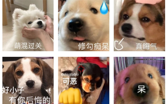 丫丫表情包app官方版
