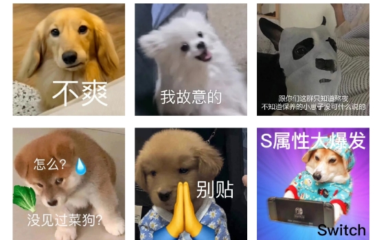 丫丫表情包app官方版