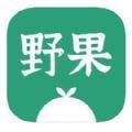 野果阅读手机版下载