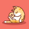 懒猫记账官网版正版 v5.5.9手机版