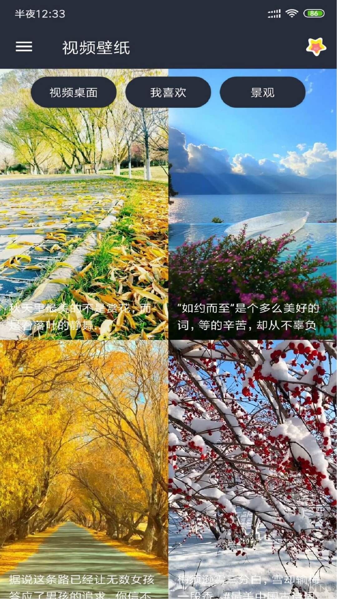 安果视频壁纸超清版