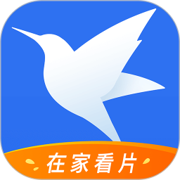 迅雷绿色版 v8.21.0