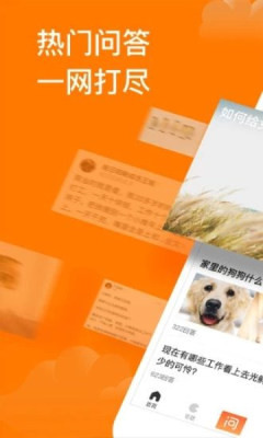 悟空问答兼职软件截图