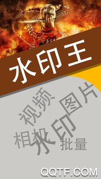 水印王