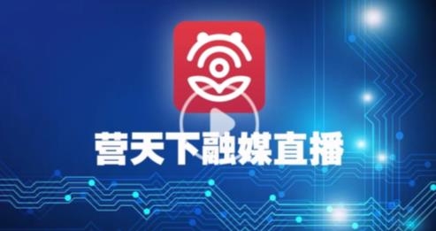 营天下app安卓版
