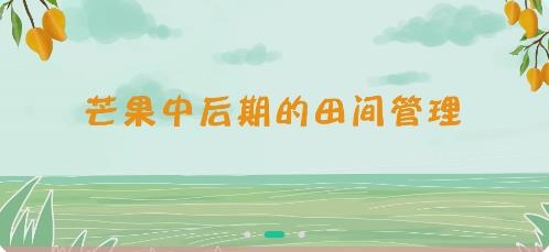 海南乡村振兴电视夜校app手机版