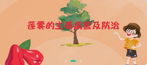 海南乡村振兴电视夜校app手机版