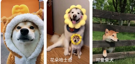图图乐官方版