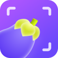 茄子水印相机 v1.9.6 安卓版