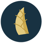 几枝诗词App v1.0新版