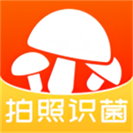 菌窝子App v3.0.0更新版