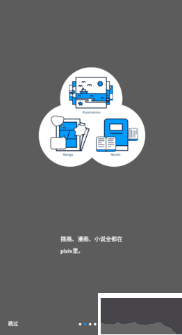 pixiv中文 v6.100.0截图