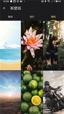 福来多壁纸app v1.0.1安卓版截图