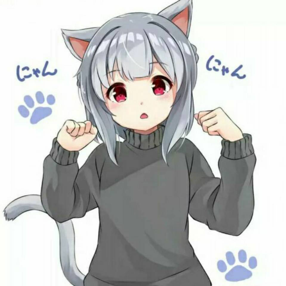 冷狐宝盒免费版下载