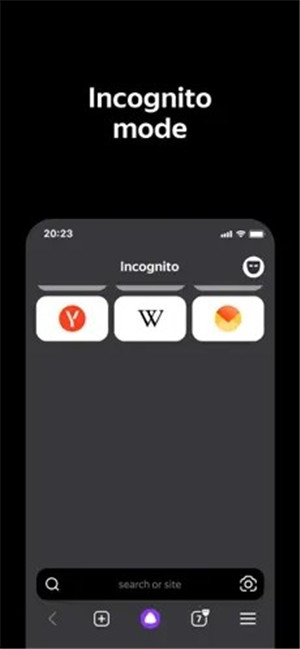 俄罗斯引擎浏览器 v22.1.1 手机版截图