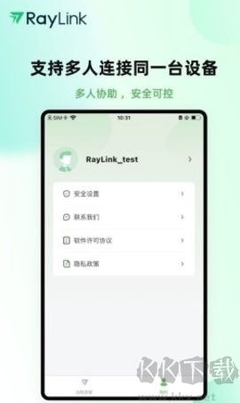 RayLink (远程控制)