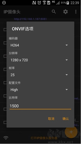 IP Camera操作界面