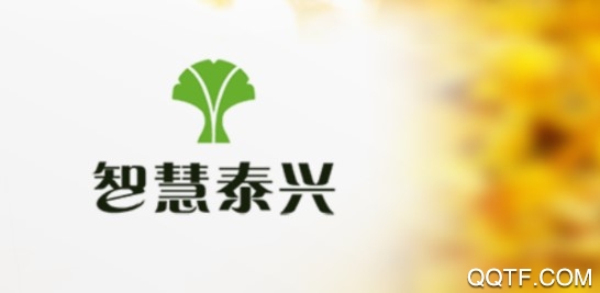 智慧泰兴安卓版App