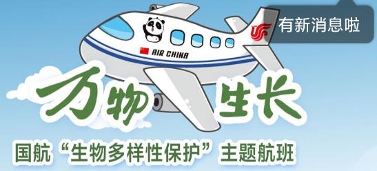 中国国航手机客户端