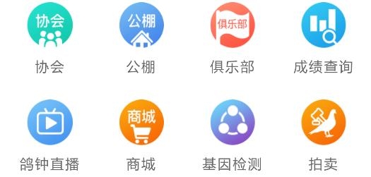 中国信鸽协会赛事直播平台