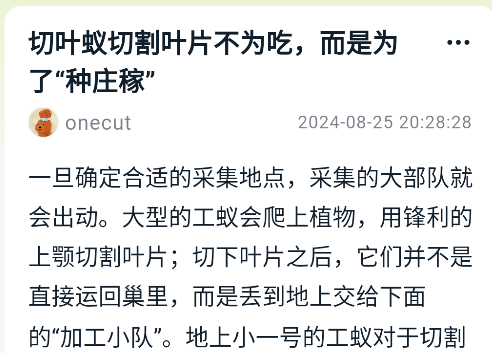 好奇时刻app正版
