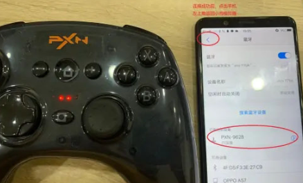 小鸡模拟器官方版