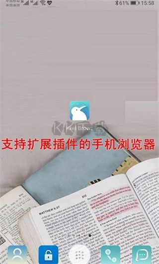 Kiwi浏览器安装插件