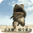 小天鹅求机会表情包