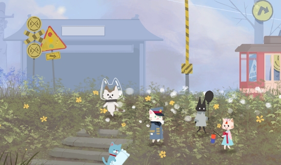 猫咪官方收容所