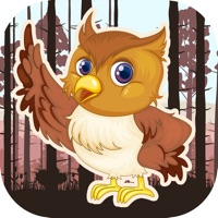 猫头鹰智娱最新iOS版