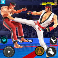 Karate Games: Official Street Rumble
