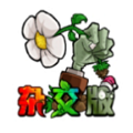 植物大战僵尸杂交版2.4安卓下载地址