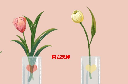 鸭鸭爱收纳游戏正版