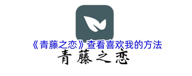 《青藤之恋》：如何喜欢我