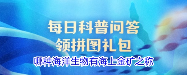 海洋生物中的“海上金矿”是谁？