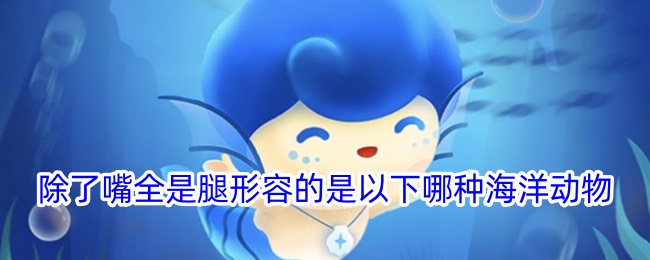 除了嘴全是腿，形容的是哪种海洋动物？