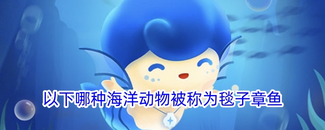 哪种海洋动物被称为毯子章鱼