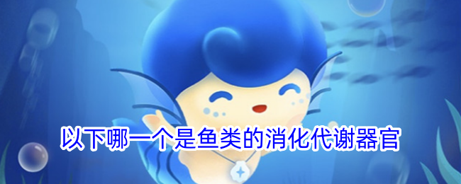 鱼类的消化代谢器官是哪个