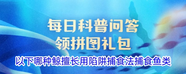 哪种鲸擅长用陷阱捕食法捕食鱼类