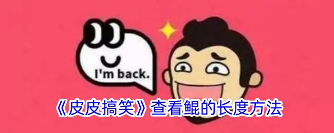 《皮皮搞笑》测量鲲的长度方法
