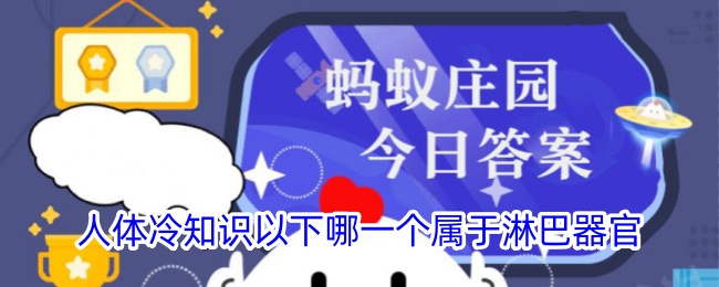 人体冷知识：以下哪个是淋巴器官？