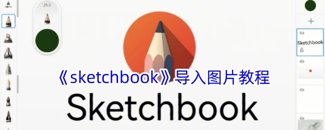 《Sketchbook 导入图片教程》