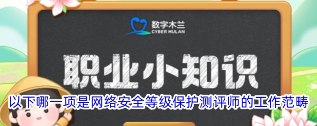 网络安全等级保护测评师的工作范畴有哪些