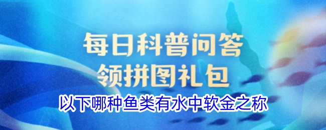 哪种鱼类被称为水中软金？