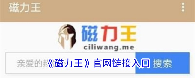 《磁力王》官方网站入口